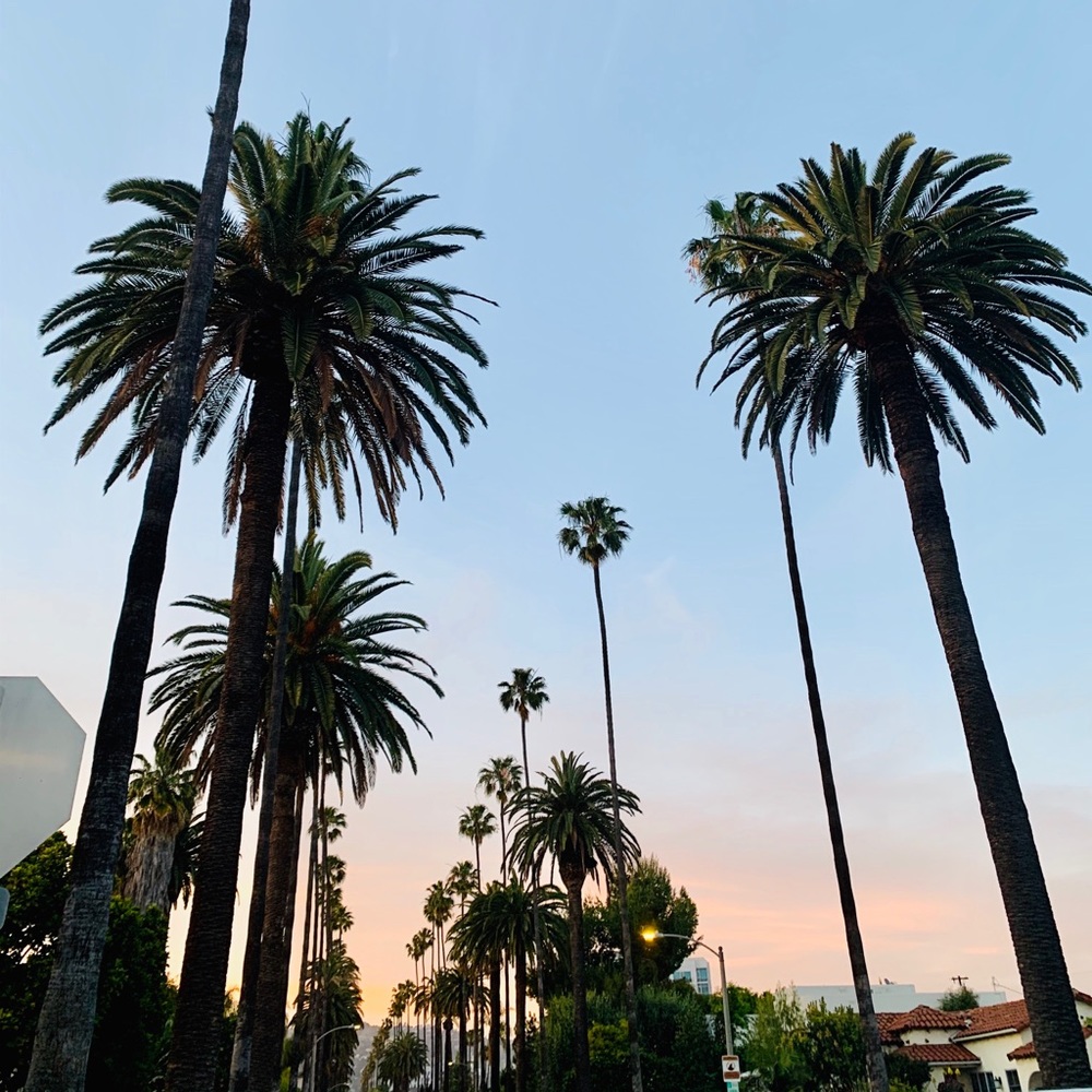 Meet your Posher, Beth